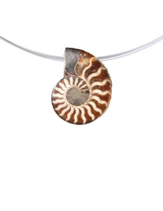 Anhänger gebohrt - Ammoniten