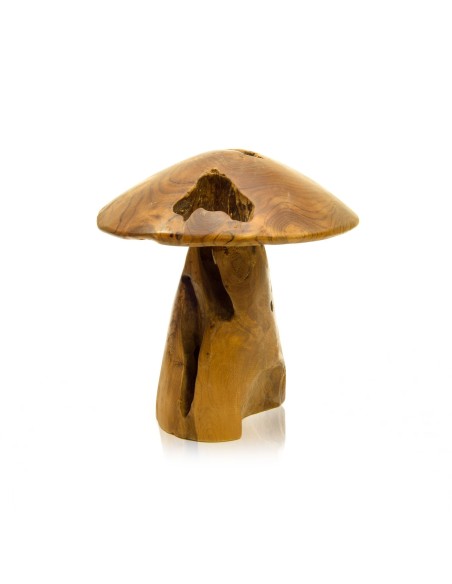 Pilz aus Teakholzwurzel 20 - 25 cm