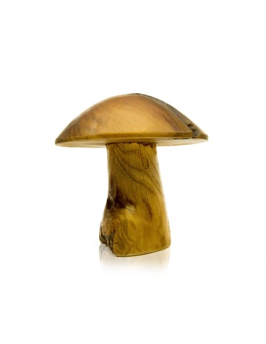 Pilz aus Teakholzwurzel 30 - 35 cm