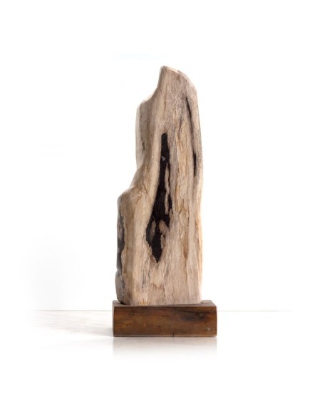 Fossiles Holz - polierte Stücke mit Holzsockel
