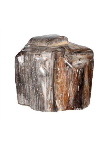 Fossiles Holz Einzelstück 24,8 kg