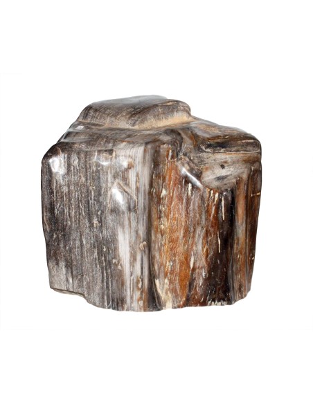Fossiles Holz Einzelstück 24,8 kg