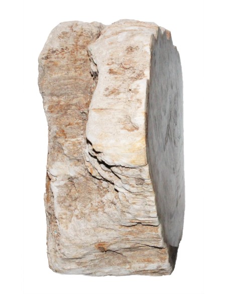 Fossiles Holz Einzelstück 19,2 kg