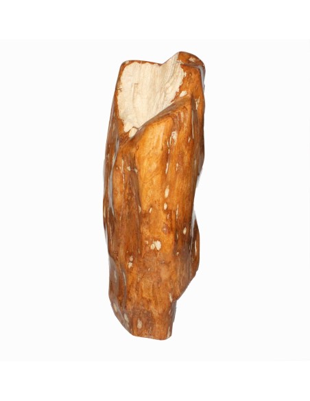 Fossiles Holz Einzelstück 17,4 kg