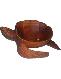 Schale Schildkröte klein