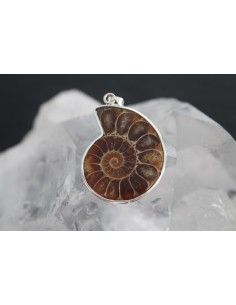 Kettenanhänger Ammoniten, 925er Silberfassung