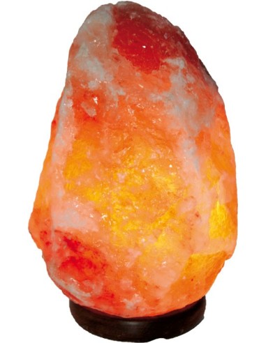 Salzkristall-Lampe ca. 18 - 24 kg...